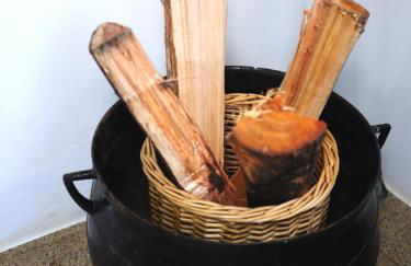 Green Valley Cruzinhas House with Fireplace & BBQ - Foto 15