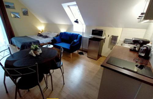 Hortensjowy Zakątek w Pieninach - Foto 7