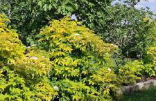 Ruralna kuća za odmor Pozojova hiža - Rural Holiday House - Foto 45