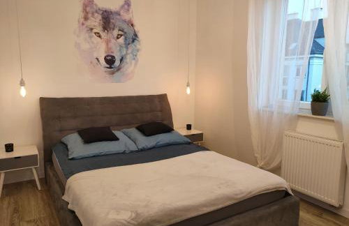 Apartamenty Oleńka I - Szczytno Mazury - Foto 20