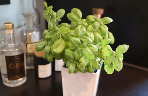 Ferienwohnungen beim Weilerbauer - Foto 16