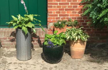 Helpens Hof - Foto 16