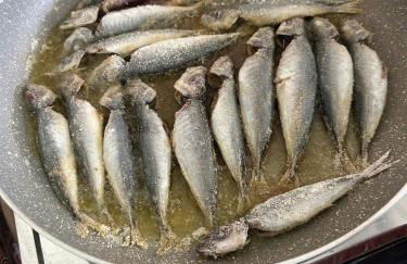 Welcome to Casa Fitz with Ocean Views and Air Conditioning - Photo 39