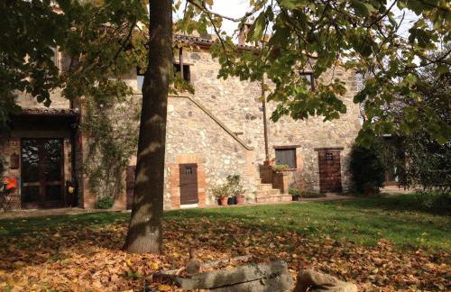 Podere Porcino - Foto 16