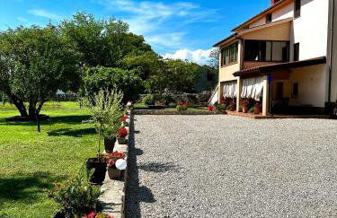 Apartmani Antonija - Foto 37