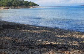 Apartman Marina - Foto 16