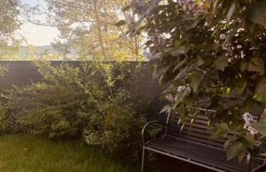 Ferienwohnung Zu den Weinbergen - Foto 13