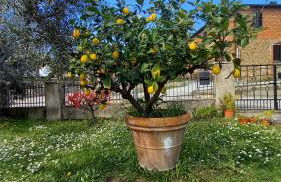 OPERA21 TUSCANY SINGLE HOUSE LUCIGNANO - Foto 8