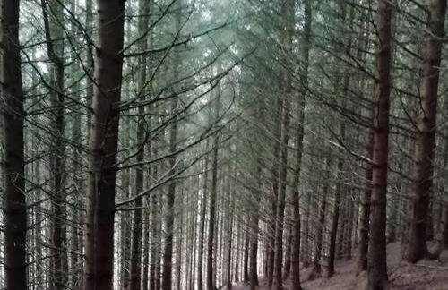 The Hayloft. Entire Barn Conversion near Keswick - Foto 39