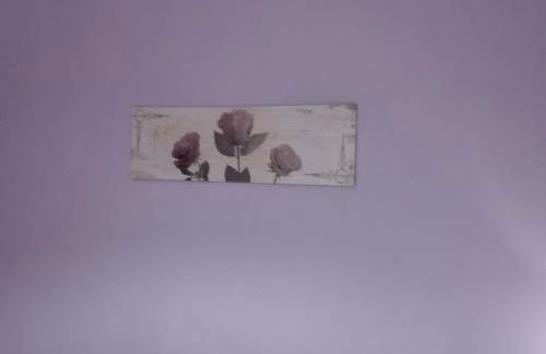 La rosa sul lago - Foto 26