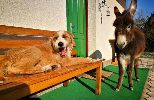 Farm stay Synergia - Hiden treasure - Photo 17