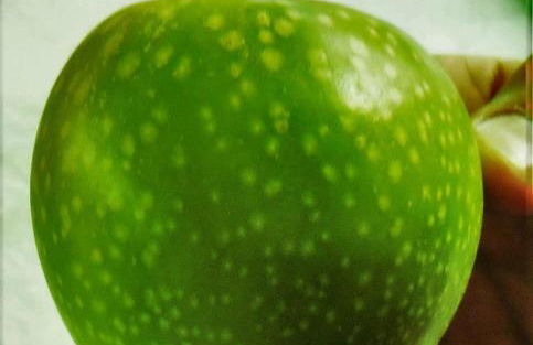 Agritur Leita - Foto 60