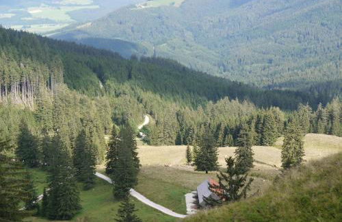 Landhaus Fürberger - Foto 27