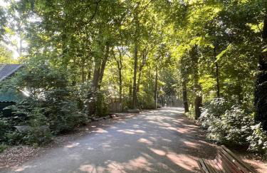 81qm Wohnung für 6 Gäste - 3 Zimmer Hannover List nahe Messe & Zentrum - Foto 64