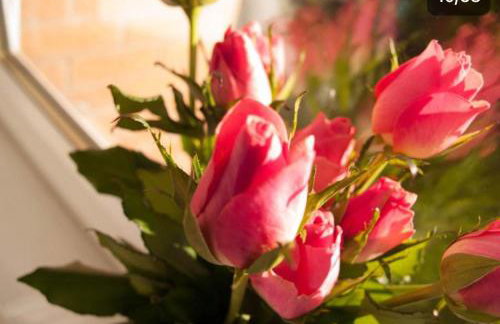 HLA king court 3 - Foto 3