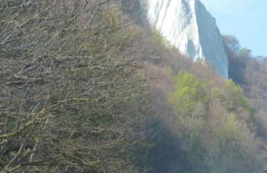 Haus Sturmschwalbe - Foto 12