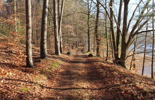 Pauline 3 - Photo 43