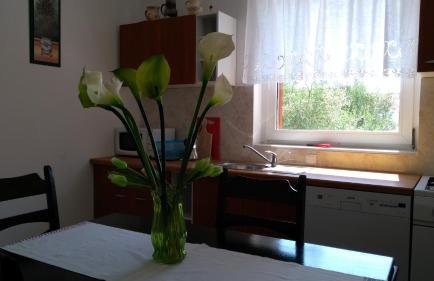 Apartman Ruža - Photo 17