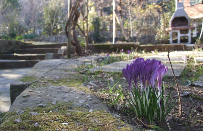 Holiday Home in Sassetta Near Beaches - Foto 25