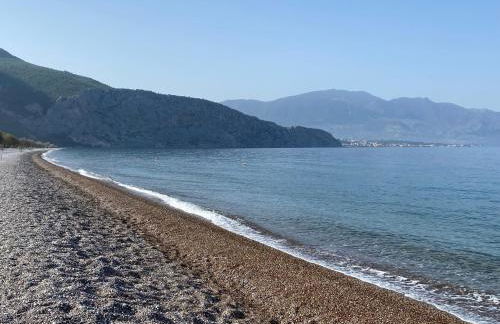 Georgia Psatha - Foto 25