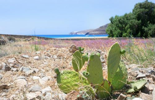 Serifos Beachfront Villa Ganema - Foto 76