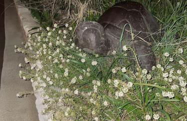 Superbe terrasse avec vue panoramique sur la mer - Foto 76