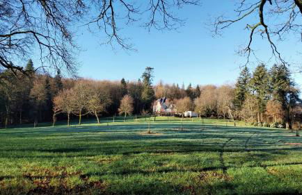 Gästehaus Cube am Forsthaus - Foto 18