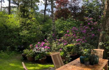 Waldhaus am Meer - Foto 8