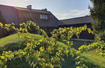 Green Willow Siedlisko - Foto 1