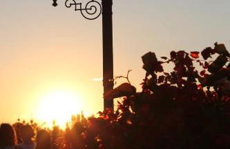 Agriturismo Le Casette - Photo 6