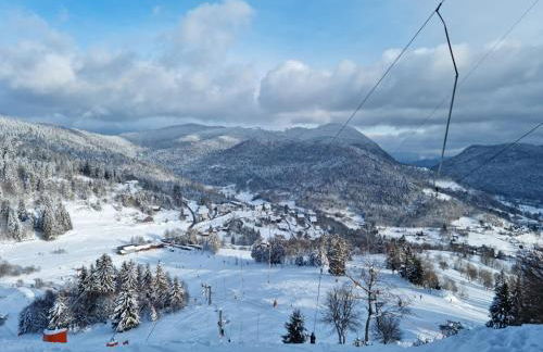 Les Randogodilleurs avec Jacuzzi à 2kms des pistes et 350m du Théatre du Peuple ! - Foto 18