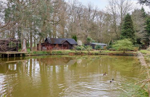 Woodpeckers - Photo 24