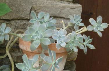 Stylish large house with heated pool in historic village - Foto 49