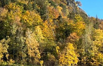 Apartament Nina - Foto 67