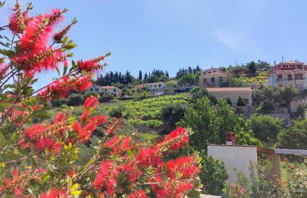 Euryclea Apartments - Foto 11