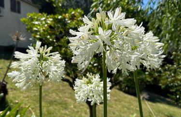 Quinta dos Encantos "Full Private Mansion" - Foto 52