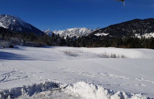 Ferienwohnungen Hammerstiel - Foto 9