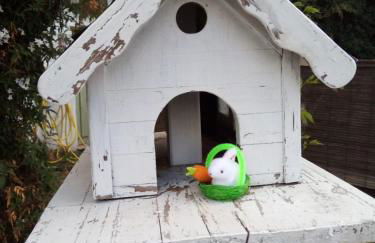 El Rinconin de Degu - Photo 49