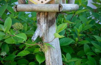 Résidence Odalys Domaine de la Baie de Saint Malo - Foto 9