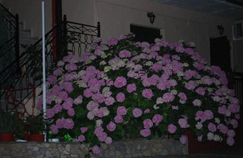 Apartments Stilos Ioannis - Foto 30