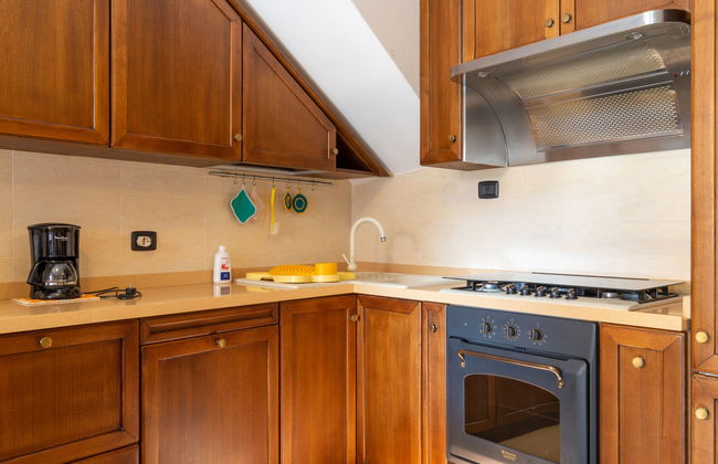 Rosa (VNA205) - Foto 6