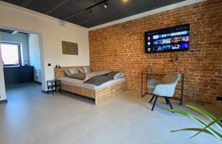 Apartamenty Gliwice Staromiejska 65 - Foto 75