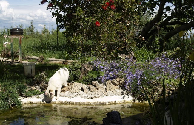 Apartment in Tkon with garden and terrace - Foto 35