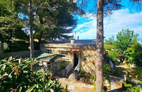 Villa des cèdres La Franqui - Foto 45