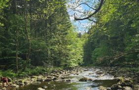 Chalet Herz³ - Foto 4