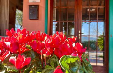 Agriturismo Valdo - Foto 64