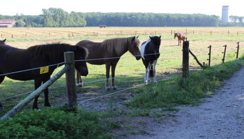 Gut Huthmacherhof - Foto 4