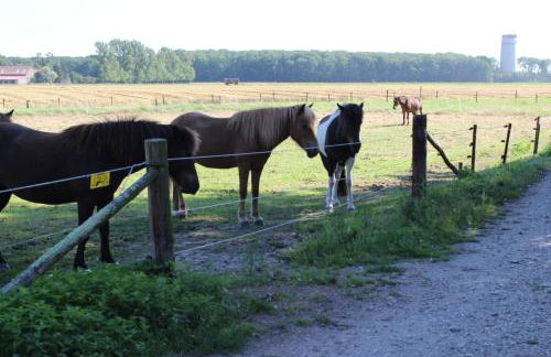 Gut Huthmacherhof - Foto 4