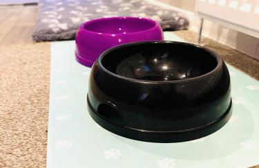 Beach Grove - Foto 68