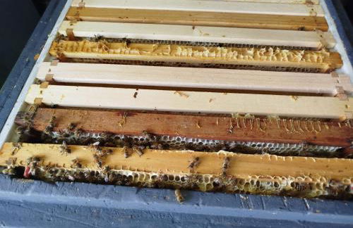 Bed and Bike Rheine - Foto 43